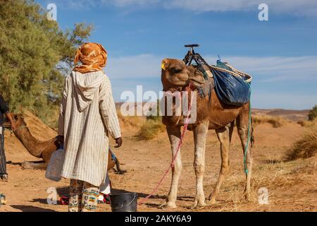 Berbermann im Nationalkleid steht in der Nähe eines Kamels, der Sahara-Wüste, Marokko, Afrika Stockfoto