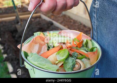 Lebensmittelabfälle, wie Gemüse- und Obstschalen, werden in einen heimischen Gemüsegarten zur Herstellung von Kompost gebracht. GROSSBRITANNIEN Stockfoto