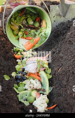 Grüner Lebensmittelabfall wird direkt in einen Gemüsepflastergraben gelegt, um Überwintern zu verrotten und der nächsten Saison hungrigen Kulturpflanzen einen Nährstoffschub zu verleihen. GROSSBRITANNIEN Stockfoto