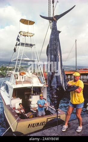 Eine gecharterte sportfishing Boot kehrt aus dem Pazifischen Ozean mit einem riesigen blauen Marlin, stolz auf den Docks in Kailua-Kona auf der grossen Insel von Hawaii, Hawaii, USA. Diese schwertfische sind für ihre hohe Geschwindigkeit und große Größe bekannt. Die größte Marlin überhaupt auf Haken und Leitung in einer Hawaiianischen Boot verfangen wog 1.805 Pfund (819 kg). Sportfishermen kommen auf Hawaii das ganze Jahr über ihr Glück fang Blue Marlin zu versuchen, gestreiften Marlin, Gelbflossenthun (AHI), Mahi Mahi (Dorado), Wahoo (Ono), short-billed Spearfish, Sailfish und andere Salzwasser spiel fisch. Stockfoto