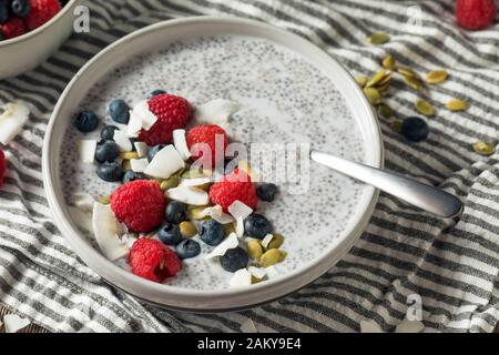 Hausgemachte Chia Samen Pudding Schale mit Beeren und Nüssen Stockfoto