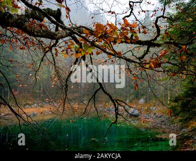 Foggy Eibsee und Zugspitze in Morgensonne Stockfoto