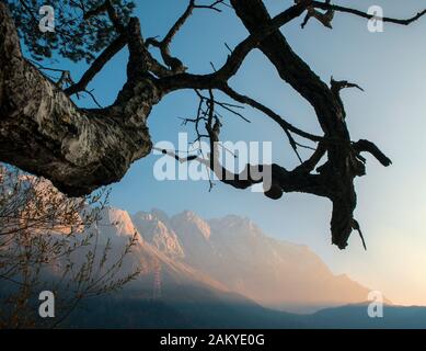 Foggy Eibsee und Zugspitze in Morgensonne Stockfoto