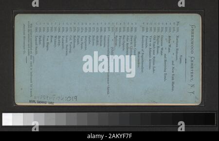 Spencer Handkolorierte photoprints. Enthält zwei handkolorierte Ansichten. Blick von D. Barnum, S. Bier, G. Stacy und andere Fotografen und Verlage. Robert Dennis Sammlung von stereoskopische Ansichten. Titel von Cataloger'. Blick auf Greenwood Cemetery in Brooklyn: einschließlich Eintritt, Seen, Antriebe, Gewölbe und Gräbern einschließlich der Henry-Bezirk Beecher, DeWitt Clinton, Charlotte Canada, und andere.; Spencer. Stockfoto