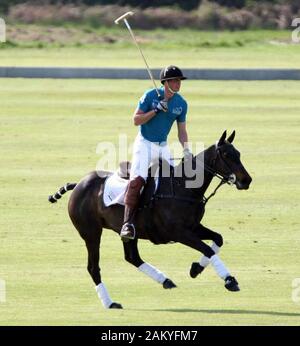 Prinz William und Kate Middleton an der Cowarth park Polo Turnier in 2009. Stockfoto