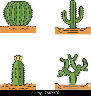 Wilden Kakteen im Land Farbe Symbole. Tropische saftig. Stachelige Pflanze. Barrel Kaktus, cholla, Saguaro, hedgehog Cactus. Isolierte Vektorgrafiken Stock Vektor