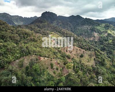 Coffee Farm Plantage auf hohen Berg Landschaft Luftaufnahme Stockfoto