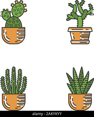 Haus Kakteen im Topf Farbe Symbole. Sukkulenten. Dornige Pflanzen. Feigenkaktus, cholla, zebra Kaktus, Orgelpfeife. Isolierte Vektorgrafiken Stock Vektor
