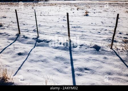 Lange Schatten von Stacheldraht zaun & Holzzaun Beiträge geworfen; Schnee Weide; Ranch in Colorado, USA Stockfoto