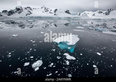 Gletschereis, Braschereis, Eisberge vor den Bergen und Gletschern der Paradise Bay mit Ozeanspiegelungen, die atmosphärisch überfluten, Antarktis Stockfoto