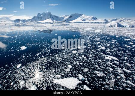 Gletschereis, Braschereis, Meereis mit den Bergen und Gletschern der paradiesischen Bucht bei strahlendem Sonnenschein mit Reflexionen, Antarktis Stockfoto