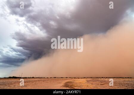 Ein haboob-Staubsturm schiebt vor einem starken Gewitter in der Nähe von Eloy, Arizona, durch die Wüste Stockfoto