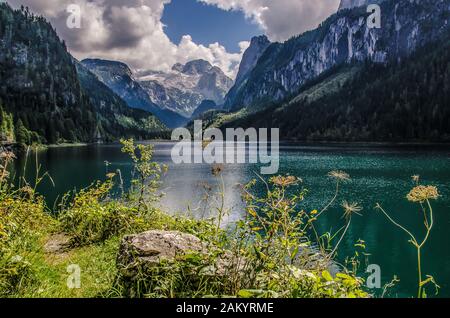 Der kleine Bergsee, der Gosausee, der eine Konservierungsordnung hat, wurde für seine herausragende Naturschönheit und sein klares kaltes Wasser berühmt. Stockfoto