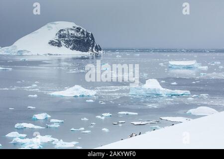 Gentoo-Pinguin-Kolonie auf der Danco-Insel mit Blick auf Eisberge, Berge und Gletscher, Danco-Insel, Antarktische Halbinsel, Antarktis Stockfoto