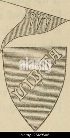 Le chroniche Sercambi, di Giovanni Lucchese. A molti ciptadini ben Chara è gosta, Ma ora s è levato questa Pianta. Ongni lucchese Balli, Canti e Giostra; Nelle comfini in feinen Pietrasanta, E ancora si vanta, Il contadin di volerne weit Ballo, Di questo imperio CharloCh alla Partita ci à diliberati. CCXXXIV. Kommen racconta Li casamenti disfacti E ARSI E LA MORTE DE CIPTADINI E CONTADINI. Stockfoto