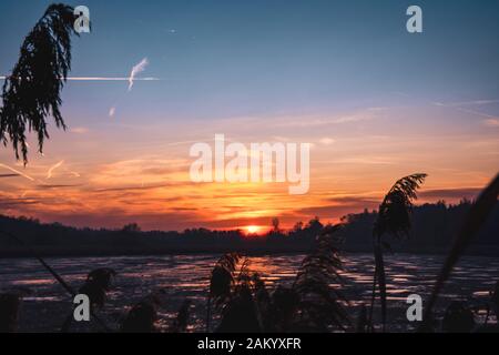 Dramatischer Himmel bei trübem Sonnenuntergang über gefrorenem Sumpf. Die Sumpfpflanzen verdrehen sich gegen den Abendhimmel. Stockfoto