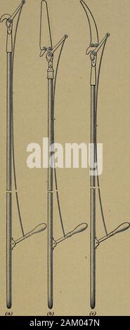 [Obst Kultur]. Abb. 23. (B) (e) Abb. 24 40 41 42 43 44 ESSENTIALS VON OBST KULTUR § 1 sehr praktisch. Sie sind mit Holz handlesabout 2 Fuß lang und sind vor allem bei jungen orchardswhere viele Äste und Zweige entfernt werden, dass aretoo großen Weg mit Leichtigkeit durch die Hand shearsshown in Abb. geschnitten werden, sind hilfreich. 22. Die Scheren in Abb. 1 gezeigt. 24 (a), (6), und (c) sind bekannt als Langstieligen, oder Erweiterung, Scheren und sind almostindispensable in Beschneidung reife Obstplantagen. Diese Scheren können mit Griffen 4, 6, 8, oder 10 Fuß ausgestattet. Die cuttingpart ist durch einen Draht extendin betrieben Stockfoto
