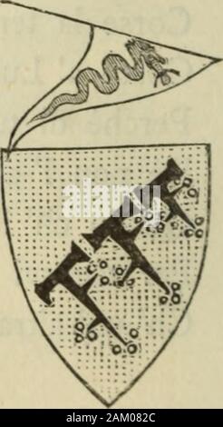 Le chroniche Sercambi, di Giovanni Lucchese. Ricordavi di Messer GhirardinoSpinori Genovese, che 1 dicto anno, Comperò Luccha et ebela in dimino. Da que che facto avean saccomanno. DI GIOVANNI SERCAMBI 195 IO-Trenta milia Fiorini misse Il dughino; Ma poco Tempo vi bastò tiranno. Alla ciptà fé Danno, E anello ein Sé, Però che perde il Prezzo. Pro Dio mutieren vezzo, Poi che Li antichi Fell sì casticati. CCXXV. Kommen lo Re di Iohanni Buemia signoreggiò Luccha. Stockfoto