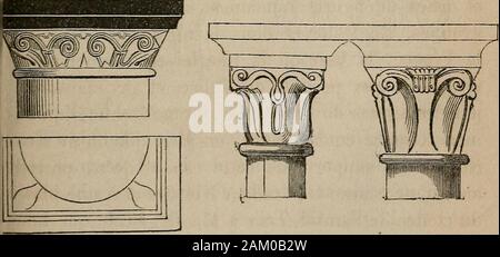 Histoire de l'architecture en Belgique: depuis Les Temps les plus reculés jusqu'à l'époque actuelle. Vl.. La Reproduktion du Chapiteau corinthien, Très-Les onze chapiteaux Suivants sind pas à cette Église. 282 HISTOIRE DE lARCHITECTURE EN BELGIQUE. fréquente dans le Midi de la France, paraît Avoir Stockfoto