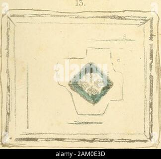 Bulletin de la société Imperiale des naturalistes de Moscou. Stockfoto