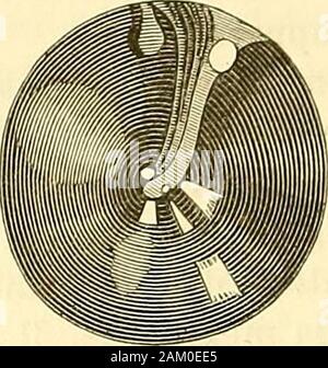 "Traité d'anatomie topographique avec Anwendungen à la Chirurgie. ANATOMIE TOPOGRAPIIIQUE. 2. Stockfoto