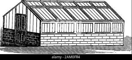 Die Pfirsiche und Nektarinen: ihre Geschichte, Sorten und Anbau. rnamental als gebildet mit Ersatz glasslights. Sie im Allgemeinen mehr der Charakter von Glaswänden thanglass Fällen teilnehmen, die Leuchten fast yerticaJ. Damit Sie inclose bntlittle Luft, und das ist einer ihrer größten Schwächen. Alle engen glasscases Hitze und consequei^ tly Cool auch, mit großer Schnelligkeit, damit requiringUberal und sofortige Belüftung und die Decke der Glas, effiziente renderthem, sonst das Glas zeichnet die Blumen in abnormaltenderness nach Tag, und macht sie so mnch Col Stockfoto