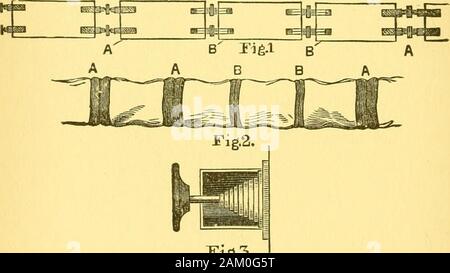 Pferd und Mensch: ihre gegenseitige Abhängigkeit und Aufgaben. ay gesehen diaoram werden automatisch in Abb. 1 gezeigt. 2 der Abbildung onpage 214. Bei einer, die Wirbel? In theirnatural Stellung abgebildet, die elastische Beläge in Kontakt, und zusammen gehalten durch die Bänder, die beendescribed haben. B b Sie sind als compressedto Größter vertreten, so dass ihre Elastizität practicallyannulled ist. In Abb. 1 Gegeben ist eine schematische Skizze showingthe Analogie zwischen der Kette der Wirbel? Und thepresent Modus der Kupplung Eisenbahnwaggons. Als ich in die Schule zu gehen, in den Tagen whenrailways waren fast in der Stockfoto