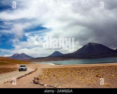 Miscanti Vulkan im Hintergrund und Miscanti Lagune im Vordergrund, Atacama-wüste, Chile Stockfoto