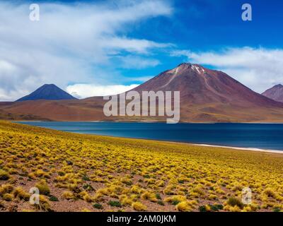 Miscanti Vulkan im Hintergrund und Miscanti Lagune im Vordergrund, Atacama-wüste, Chile Stockfoto