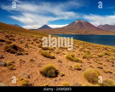 Miscanti Vulkan im Hintergrund und Miscanti Lagune im Vordergrund, Atacama-wüste, Chile Stockfoto