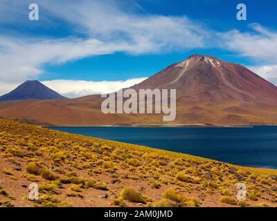 Miscanti Vulkan im Hintergrund und Miscanti Lagune im Vordergrund, Atacama-wüste, Chile Stockfoto