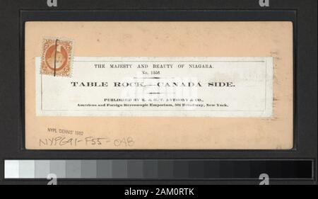 Tabelle Rock, Kanada Seite Blick auf die Niagara Fälle, Stromschnellen, Inseln, Hotels, Brücken, Zügen, Treppen, Fähren, Terrepin Tower, die sechs Nationen indischen Store, Touristen, Farmen in der Gegend und Blondin auf der Gratwanderung. Enthält vier handkolorierte Ansichten. Robert Dennis Sammlung von stereoskopische Ansichten. Einige Ansichten sind fotografiert von George N. Barnard (siehe: Davis, Keith F.: George N. Barnard, Fotograf von Sherman's Campaign, 1990.) Titel ausgedacht. Ansichten sind gezählt: 46, 125, 624, 626, 628, 630-633, 635, 637-639, 641, 643-648, 651, 665, 666, 832, 856, 879, 1369, 1379, 1382, 1387, 1441, 1556, 155 Stockfoto