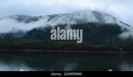 Nebel hängt in den Bäumen am Berghang im Tongass National Forest, Alaska Stockfoto