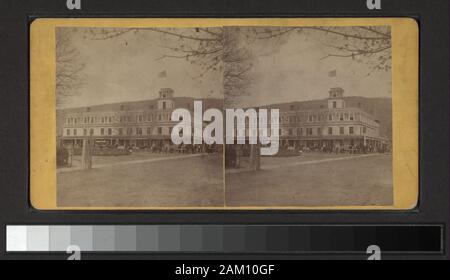 Terwilliger Haus, Ellenville, NY beinhaltet Ansichten von D.J.Auchmoody, J. Loeffler, A.W. Tice und andere Fotografen und Verlage. Robert Dennis Sammlung von stereoskopische Ansichten. Blick in Ulster County: Berg, Stadt und Land, auch die Städte Ellenville, hohe Wasserfälle, Kingston, Pine Hill, Rosendale, Saugerties, Resorts mit Blick auf den Mt. Haus, Woodstock und Lake Minnewaska; die Delaware und Hudson Canal, Eingang der Shawangunk Tunnel auf der New York Oswego und Midland Railroad; eine Kuh auf Rondout Creek oder auf den Kanal.; Terwilliger Haus, Ellenville, New York, präsent. Stockfoto