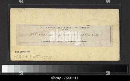 Die amerikanische Fallen, von der kanadischen Seite Blick auf die Niagara Fälle, Stromschnellen, Inseln, Hotels, Brücken, Zügen, Treppen, Fähren, Terrepin Tower, die sechs Nationen indischen Store, Touristen, Farmen in der Gegend und Blondin auf der Gratwanderung. Enthält vier handkolorierte Ansichten. Robert Dennis Sammlung von stereoskopische Ansichten. Einige Ansichten sind fotografiert von George N. Barnard (siehe: Davis, Keith F.: George N. Barnard, Fotograf von Sherman's Campaign, 1990.) Titel ausgedacht. Ansichten sind gezählt: 46, 125, 624, 626, 628, 630-633, 635, 637-639, 641, 643-648, 651, 665, 666, 832, 856, 879, 1369, 1379, 1382, 138 Stockfoto