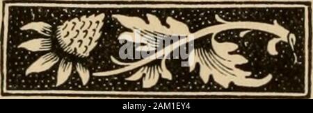 Die Maske der Musen. ugle Noten von Genden Herden; und laß mich bald tilgt die funkelnde wineDrawn Schäumen von der großzügigen Kühe. ich nicht mein Leben wäre Verschwenden, Krone, um die Nacht zu berauben, indem sie Tag. Für alles Gold und alle gemsOf Monarchen und ihre Kronen. Ein Land Mädchen Im stolz zu sein; das Land ist die Heimat für mich! Die Stadt Sounds und Songs float oer uns. In tiefer und nie endende Chorus; Der menschliche maelstrom schläft nie, aber Ebbe und Flut wie Ozeane Tiefe. Die Nacht der Freude drowses onTill, die durch die steigenden Dawn erschrocken; seine kränkliche beleuchtet eine fade, wie Sterne, bevor die Sonne gehen. Lone Riot si Stockfoto