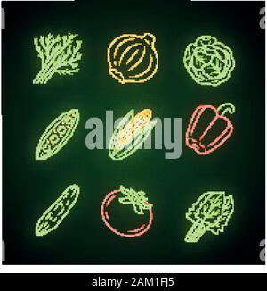Gemüse Neon Licht Symbole gesetzt. Kohl, Rüben, Mais, Tomate, Gurke, Paprika. Vitamin. Diät. Gesunde Ernährung. Vegetarisches Essen. Leuchtende Zeichen. Vect Stock Vektor
