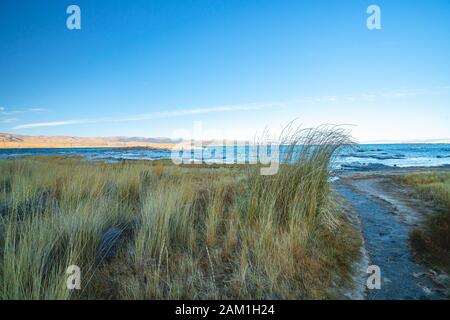 Mono Lake Shore Weg, Herbst Farben. Mono Lake Tuffstein State Natural Reserve, Kalifornien. Stockfoto