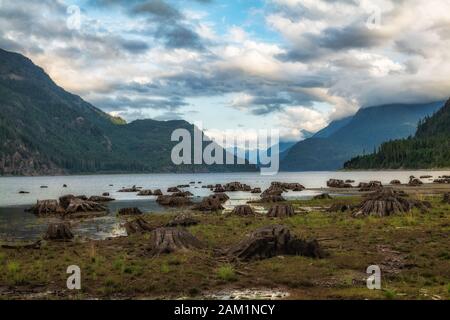 Baumstümpfe vom Holzeinschlag entlang des Ufers eines schönen Sees mit Bergen auf Vancouver Island. Stockfoto