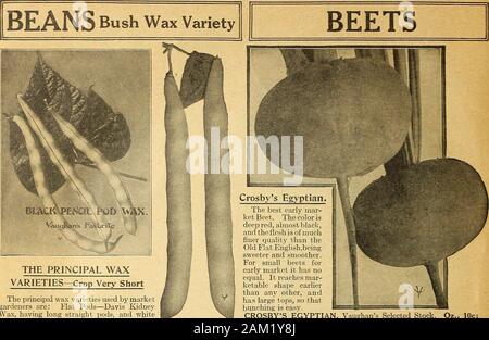 Vaughan's Markt Gärtner Großhandel Preisliste. Arten VON BOHNEN w&^ MM&MM M&m. mmT^^ mmt^^ MMS* Großhandelspreise verschlissen, einem © ^. BL & CK % PENC! L POD V & X. DAVIS Stockfoto