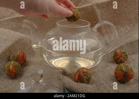 Eine Hand lässt einen Blumenkugel in eine Glaskanne mit heißem Wasser und mehreren Bällen Blumentee vor dem Hintergrund rauer Homespun-Qualität fallen. Cl Stockfoto