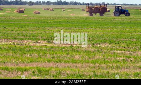 Einen landwirtschaftlichen Traktor Lader lasten Heuballen in einen Traktor Anhänger auf dem Feld Stockfoto