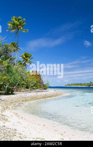 Lagune am Tetamanu, Fakarava, Tuamotu-Inseln, Französisch-Polynesien Stockfoto