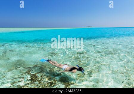 Frau Schnorcheln in Lagune, Insel Rasdhoo, Nord Ari Atoll, Malediven Stockfoto
