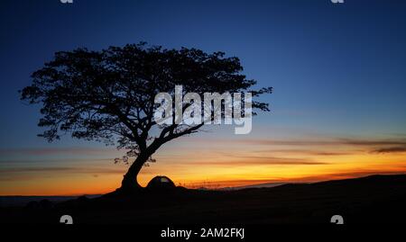 Sonnenaufgang Golden Hour Camping und Baum schöne Landschaft Stockfoto
