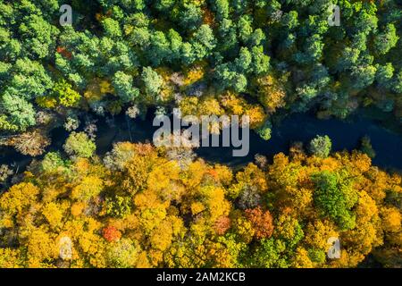 Luftaufnahme von gelben und grünen Wald im Herbst Stockfoto