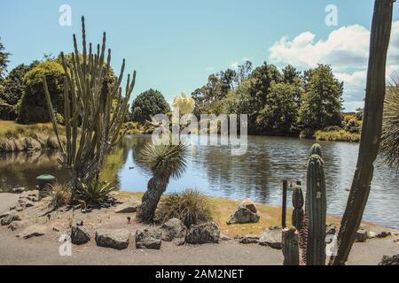 Auckland, Neuseeland - 30. Dezember 2016: Die schönen Botanischen Gärten von Auckland sind mit vielen kleinen Details dekoriert. Stockfoto