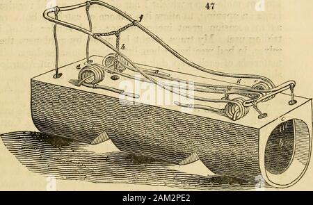 Des Gärtners Magazin und Registrieren der ländlichen & inländischen Verbesserung. le Art Falle, die ich erfunden; und besitzt einen besonderen Vorteil über irgendeine andere Art, dass ich versucht habe, oder gesehen haben, und das ist, dass es zwei Maulwürfe werden in einem Set. Es besteht aus einem Block Holz {fg. 47. a, obere Ansicht, withone Ende gesetzt; und Fg. 48., unter Ansicht) 10 cm lang, 3 cm breit und 3i in.; mit einer Bohrung {h2^in. Durchmesser, gebohrt Länge - klug durch beide Enden. In der Innenseite, Hälfte ein Zoll von theextremity an jedem Ende, ein Groove ist Schnitt für eine Drahtschleife zu fitinto, wie in der gemeinsamen Holz- mole-Trap; o Stockfoto
