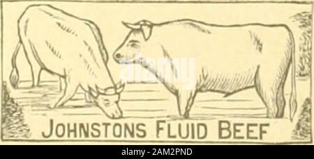 Le quincaillier (Juin 1888 - Aout 1889). Telefon 1432. .&Gt; 4, Victoria, Montreal. A.1 OULIN, gerant. Joluistons I^lixicl Beef! 1, E oder A ND? Für Tl FIA X T 11 dnime un-BR&lt; n Alter savoreux et fortifiant.. 11 Donne nn alimentconcents el Il est Iali -?. BAJRR, & cio. Ag Stockfoto