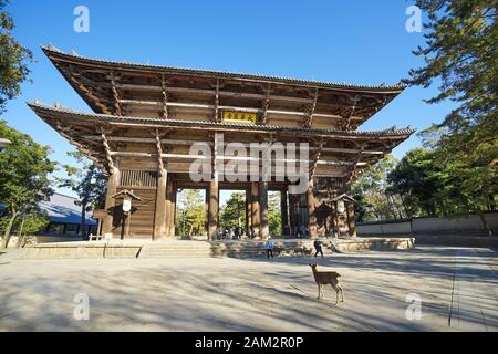 Nara, Japan - 16. Dezember 2019: Das große Holztor Des Todaiji-Tempels, dies ist die berühmtesten Reiseziele der Stadt Nara in Kansai Stockfoto